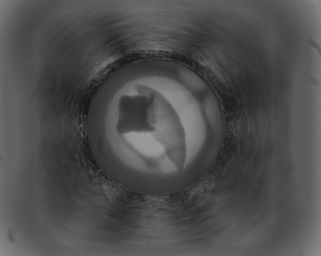 X0000095680870200801221224
