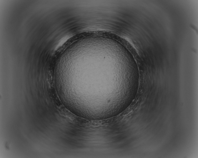 X0000095680871200801221224