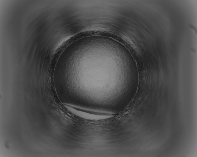 X0000095680872200801221224