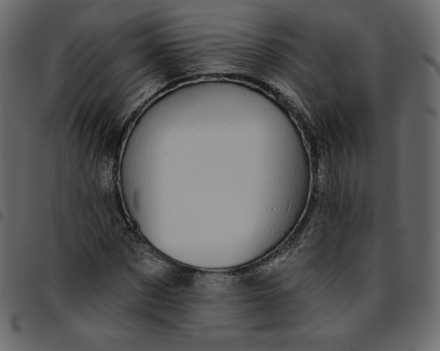 X0000095680873200801221224