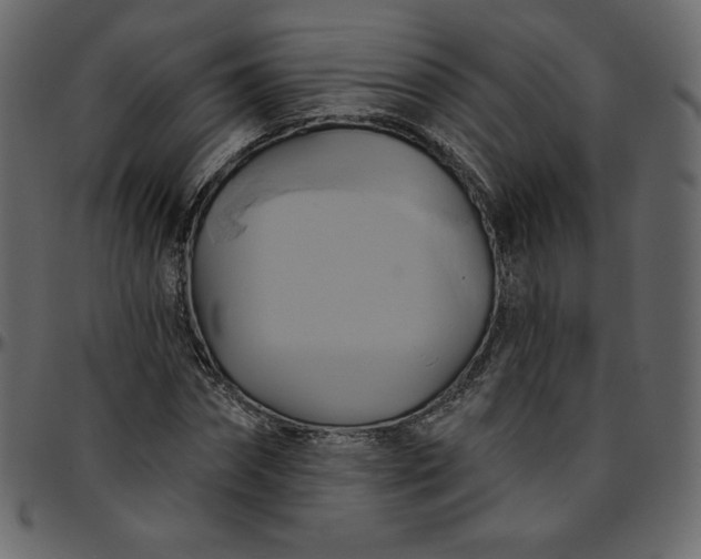 X0000095680874200801221224