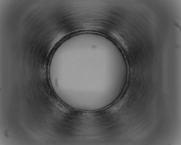 X0000095680875200801221223