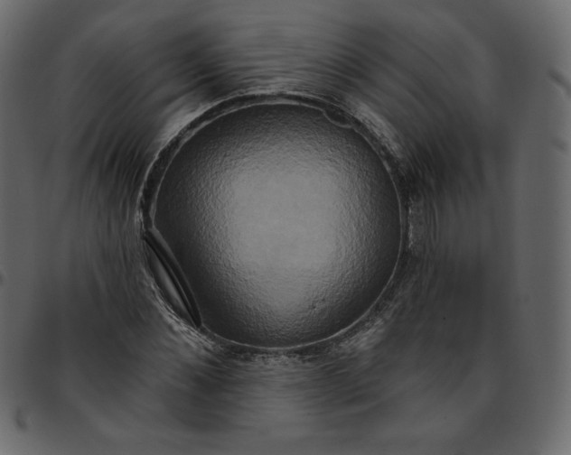 X0000095680876200801221223