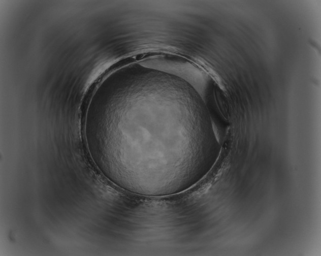 X0000095680877200801221223