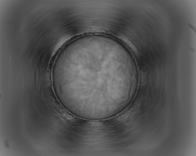 X0000095680878200801221223