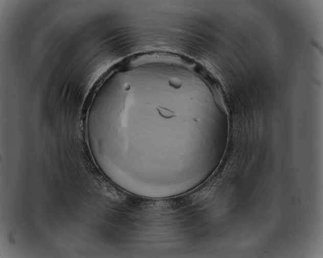 X0000095680879200801221223