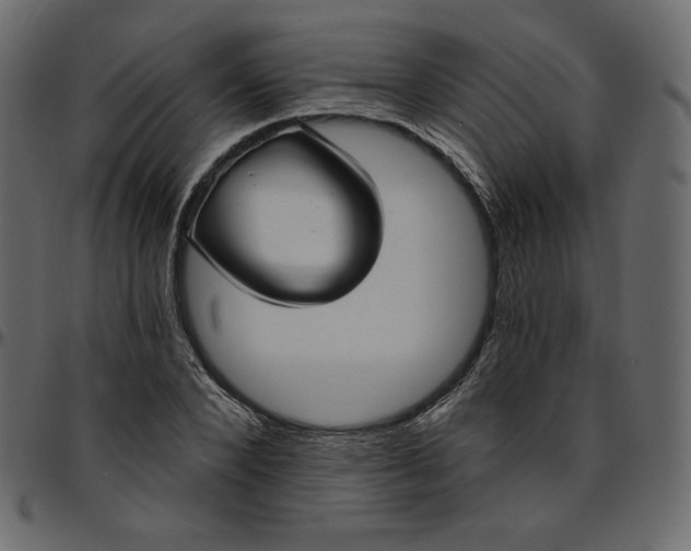 X0000095680880200801221223