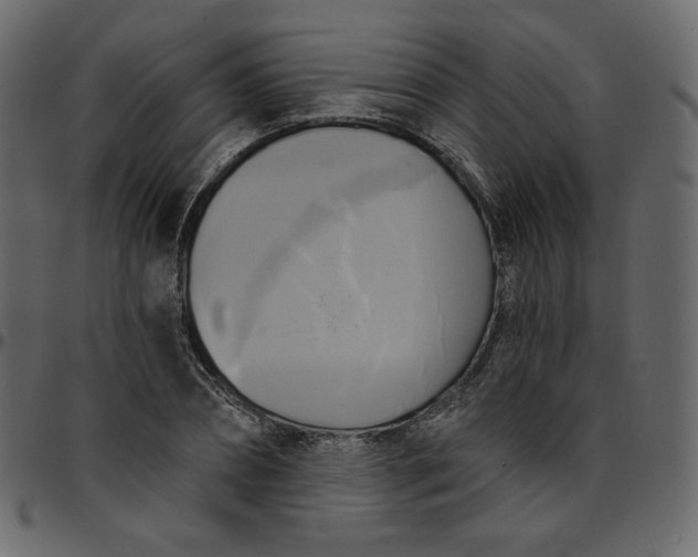 X0000095680882200801221223