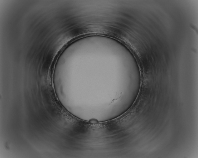 X0000095680883200801221223