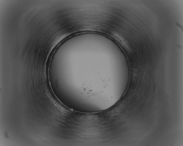 X0000095680884200801221223