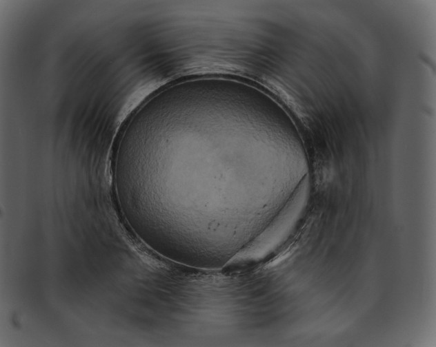 X0000095680885200801221223