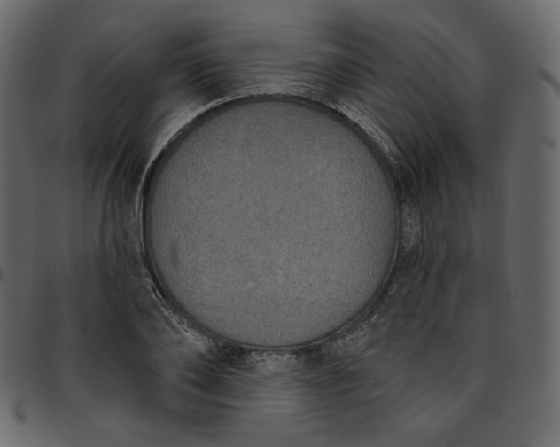 X0000095680886200801221223