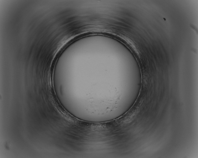 X0000095680887200801221223