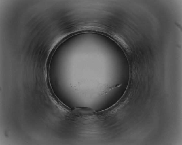 X0000095680888200801221223