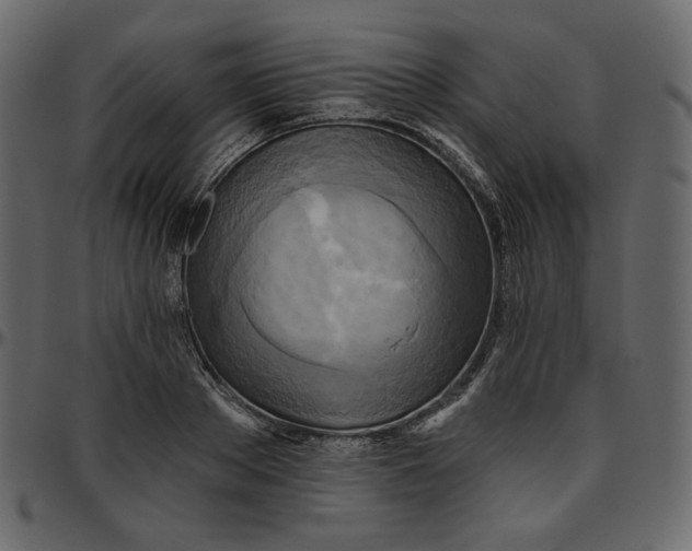 X0000095680889200801221223