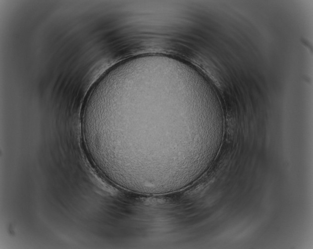 X0000095680890200801221223