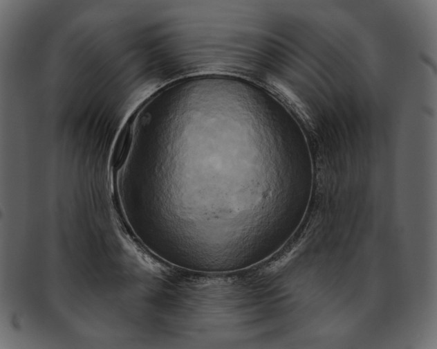 X0000095680892200801221223