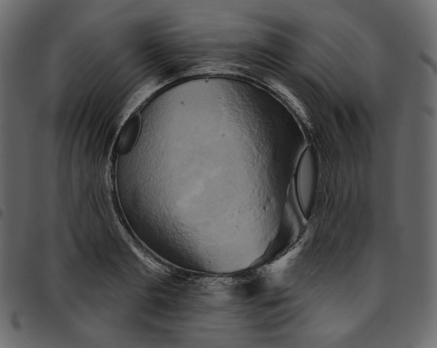 X0000095680893200801221223