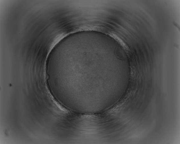 X0000095680894200801221223