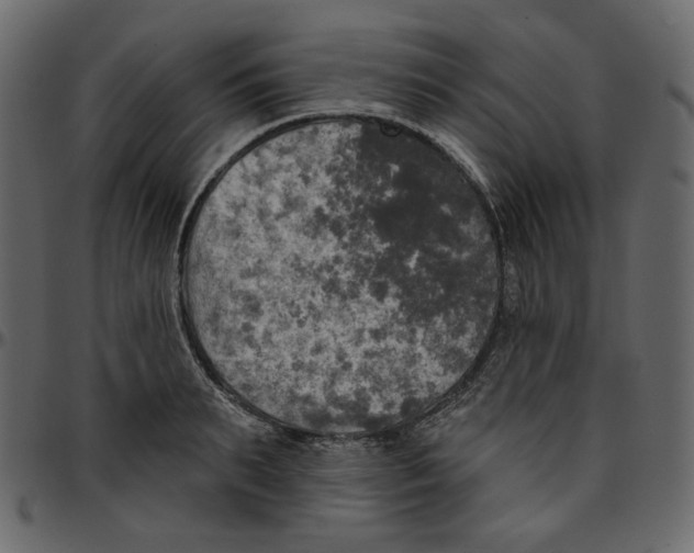 X0000095680895200801221223