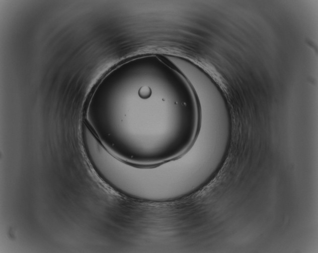 X0000095680896200801221223