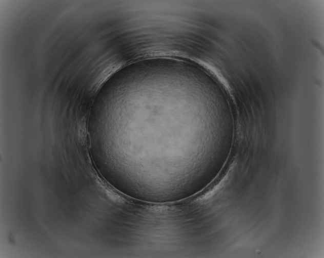 X0000095680897200801221223