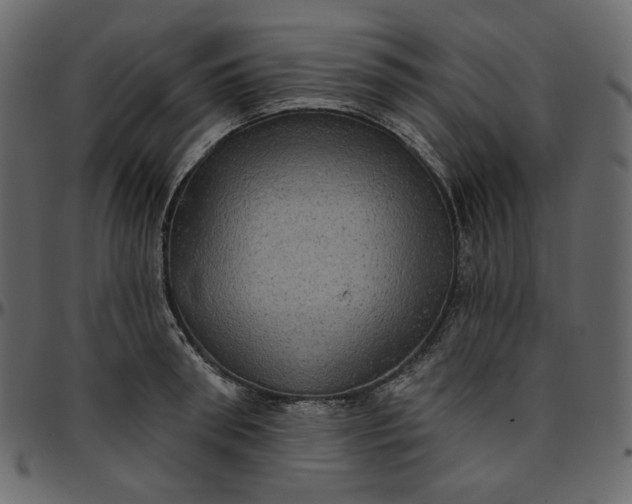 X0000095680898200801221223