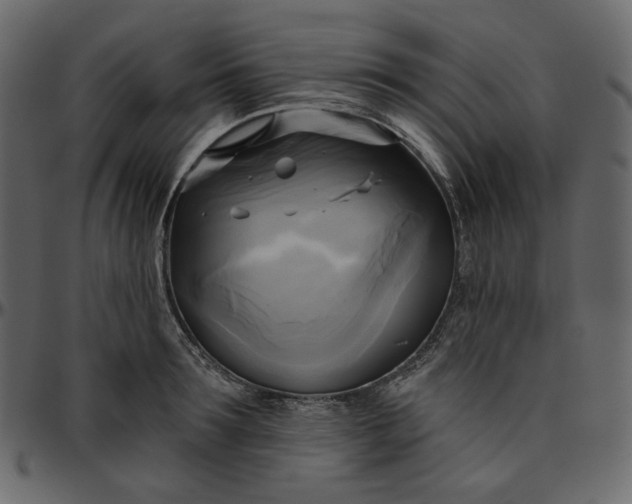 X0000095680899200801221223