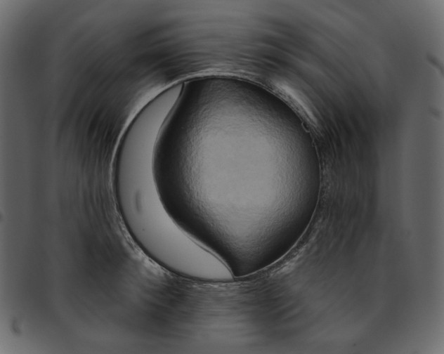 X0000095680900200801221223
