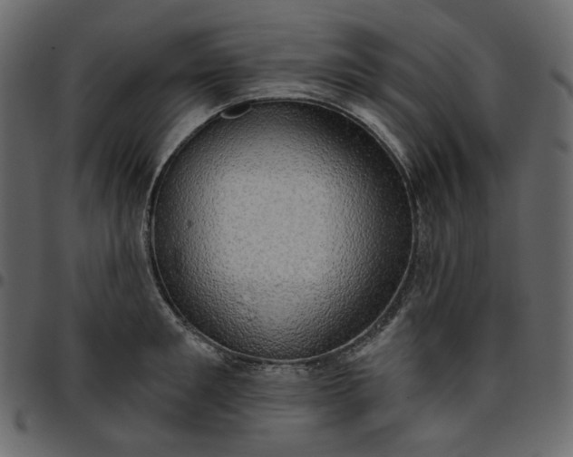X0000095680901200801221223