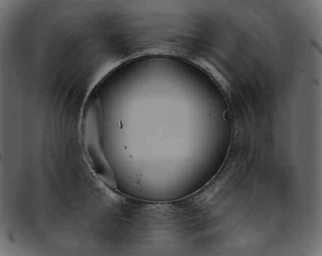 X0000095680902200801221223