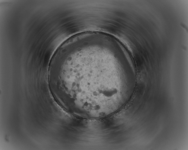 X0000095680903200801221223