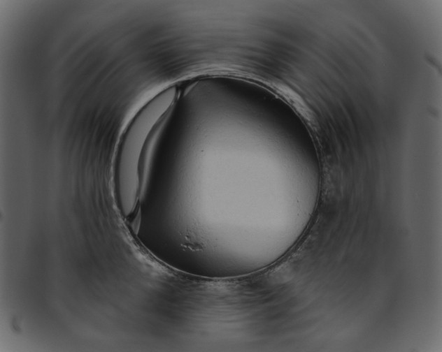 X0000095680904200801221223