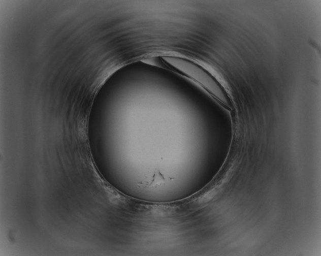 X0000095680905200801221223