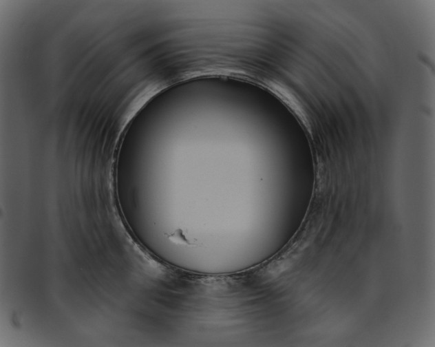 X0000095680906200801221223