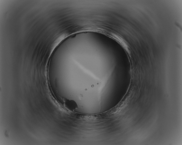X0000095680907200801221223