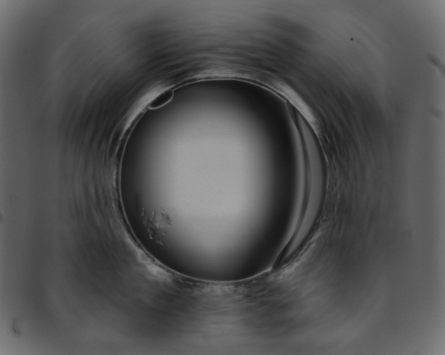 X0000095680909200801221223