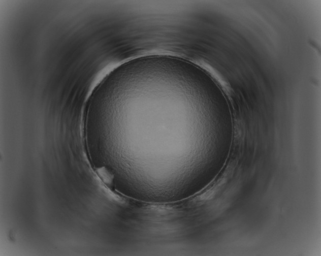 X0000095680910200801221223