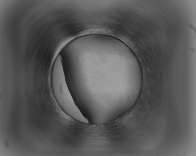 X0000095680912200801221223