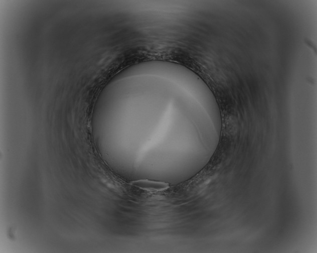 X0000095680913200801221222