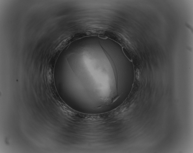 X0000095680915200801221222