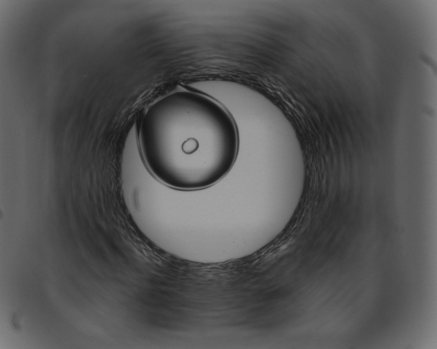 X0000095680916200801221222