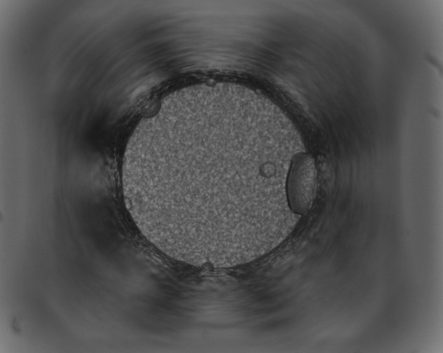 X0000095680918200801221222