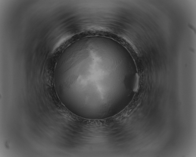 X0000095680919200801221222