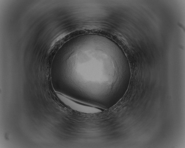 X0000095680920200801221222