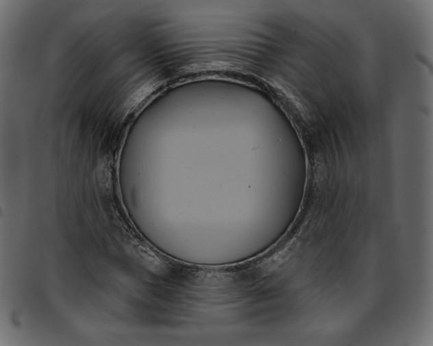 X0000095680921200801221222
