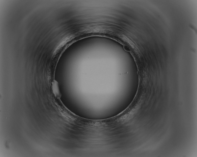 X0000095680922200801221222