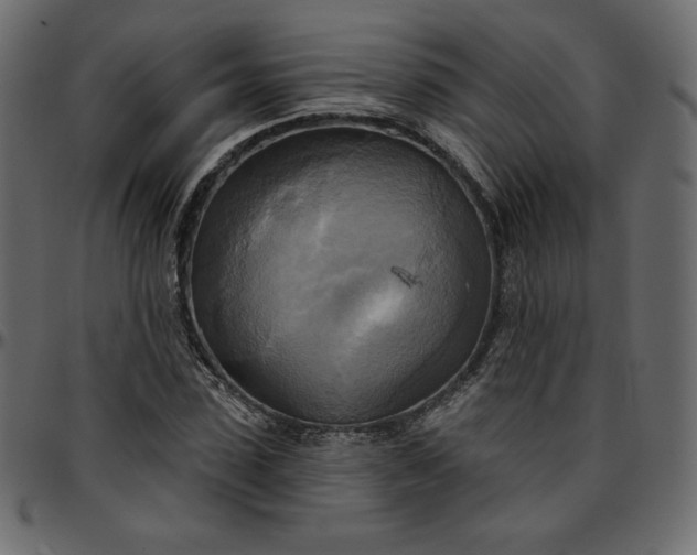 X0000095680923200801221222