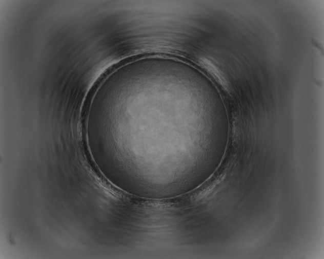 X0000095680924200801221222