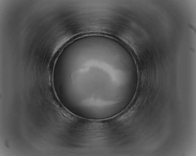 X0000095680925200801221223
